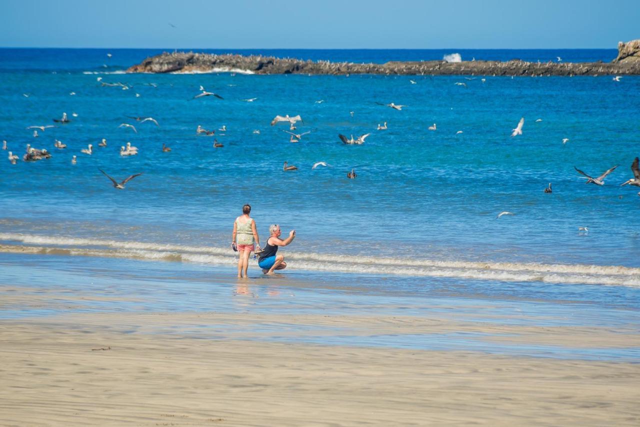 Jet Luxury At Langosta Beach Resort & Villas Tamarindo Eksteriør bilde